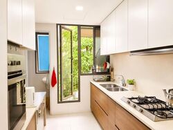 The Miltonia Residences (D27), Condominium #592421111